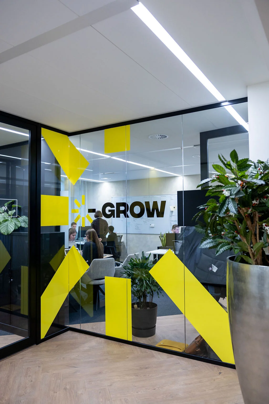 Grow bedrijfsfotografie foto 3